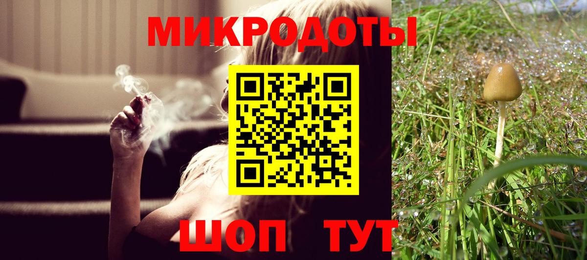 Псилоцибиновые грибы прущие грибы Томск