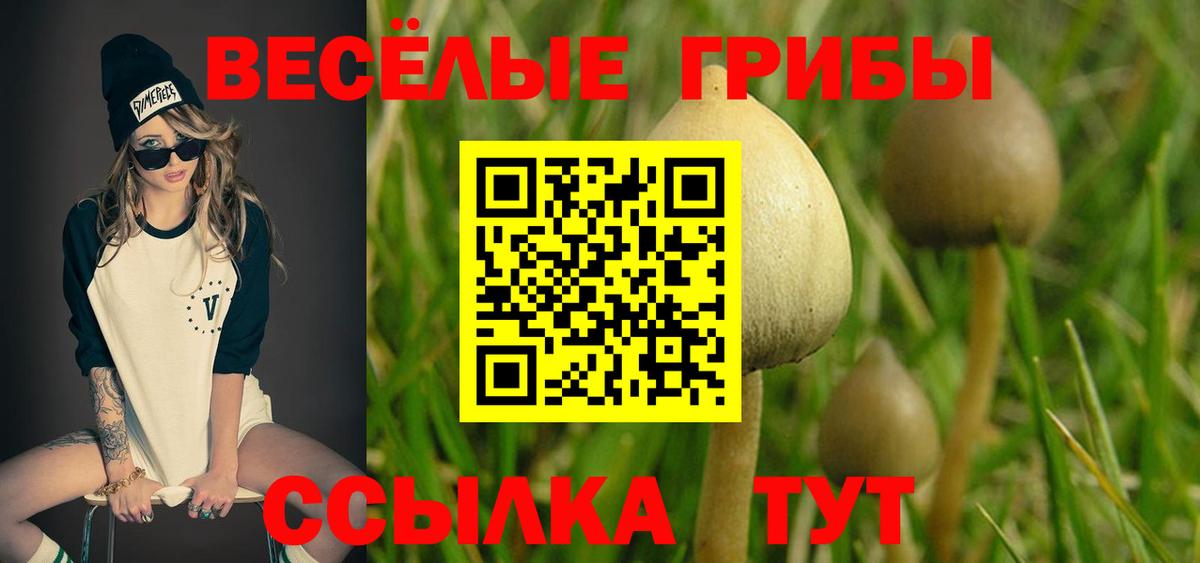 Галлюциногенные грибы Cubensis  цена   Псилоцибиновые грибы Psilocybine cubensis  Томск  Вход с VPN 